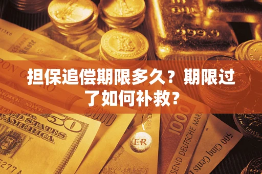济南担保追偿期限多久？期限过了如何补救？
