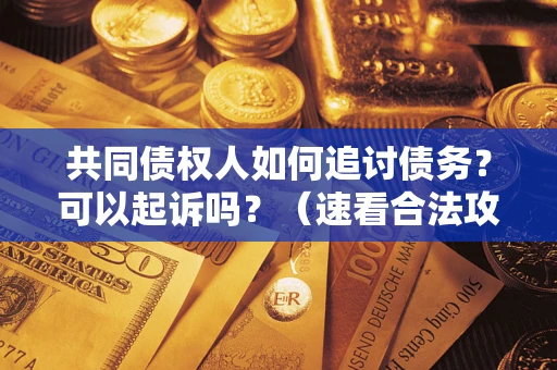 济南共同债权人如何追讨债务？可以起诉吗？（速看合法攻略）